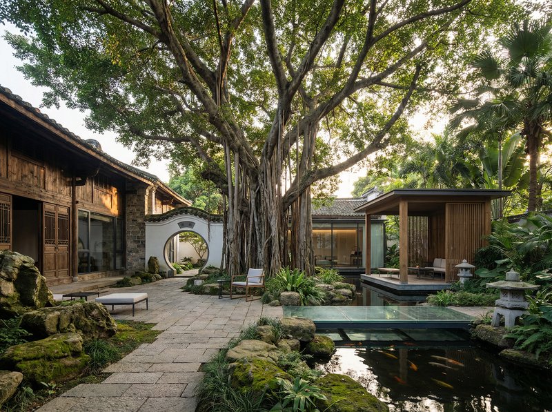 蜜桃传媒古榕树纪录片视频